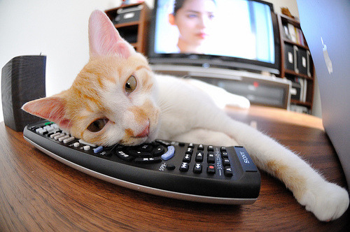 中国男篮稳步推进战术体系年轻化建设，中国男篮战术打法