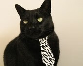 中国男篮稳步推进战术体系年轻化建设，中国男篮战术打法