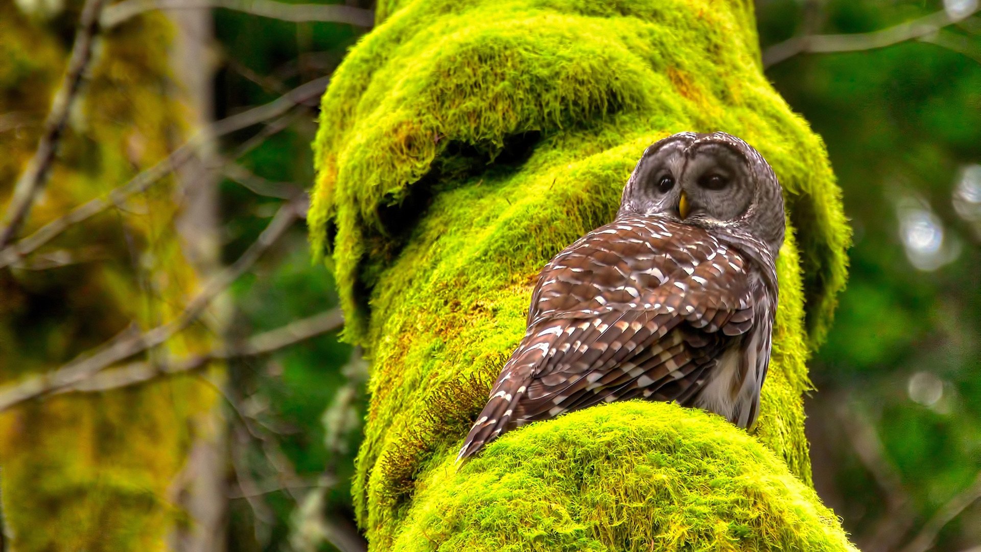 中小学体育课质量评估结果公布,中小学体育课评课标准