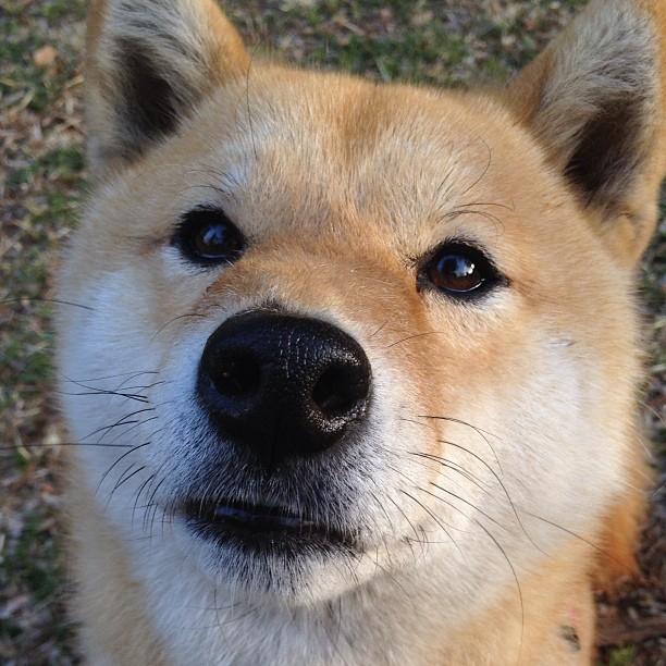 开云体育登陆入口-女足世界杯中国队分组出炉备战全面启动，中国女足世界杯阵容
