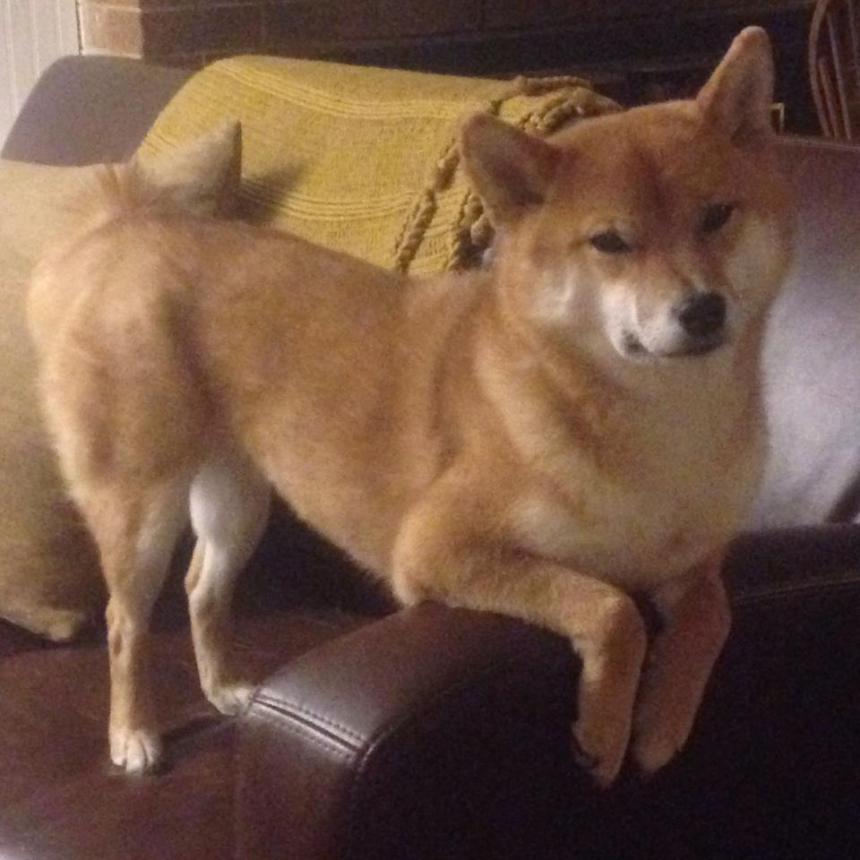 开云·体育官网-美方换气节奏三年趋于更紧密