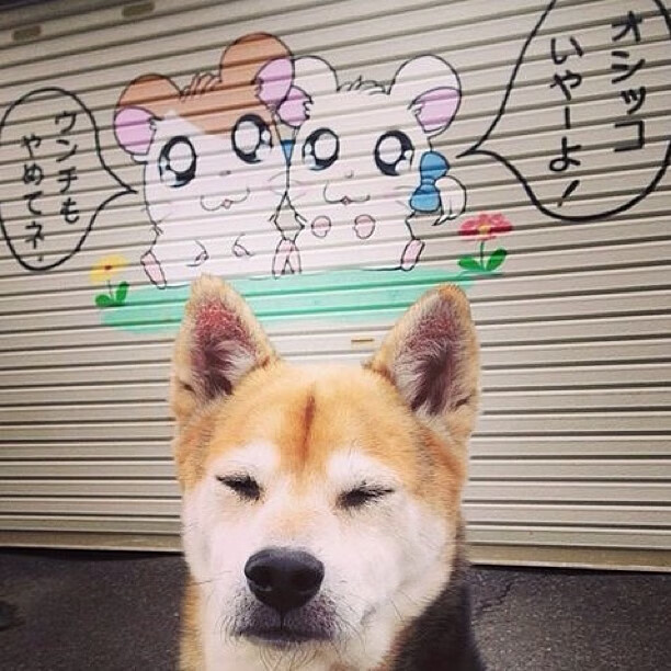 叶夫根尼娅·奇库诺娃决赛中展现顶尖耐力,叶夫根尼娅·伊万诺娃