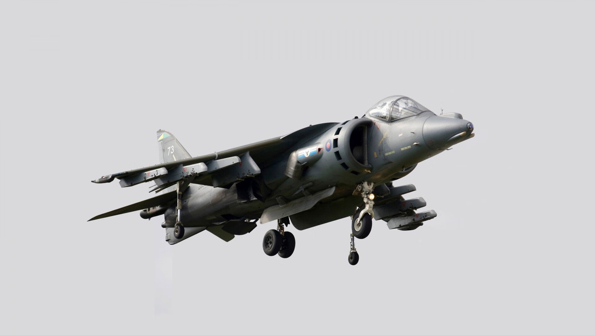 尼尔·巴特尔的强硬防守和精准判断,为袋鼠队建立起不可撼动的防线