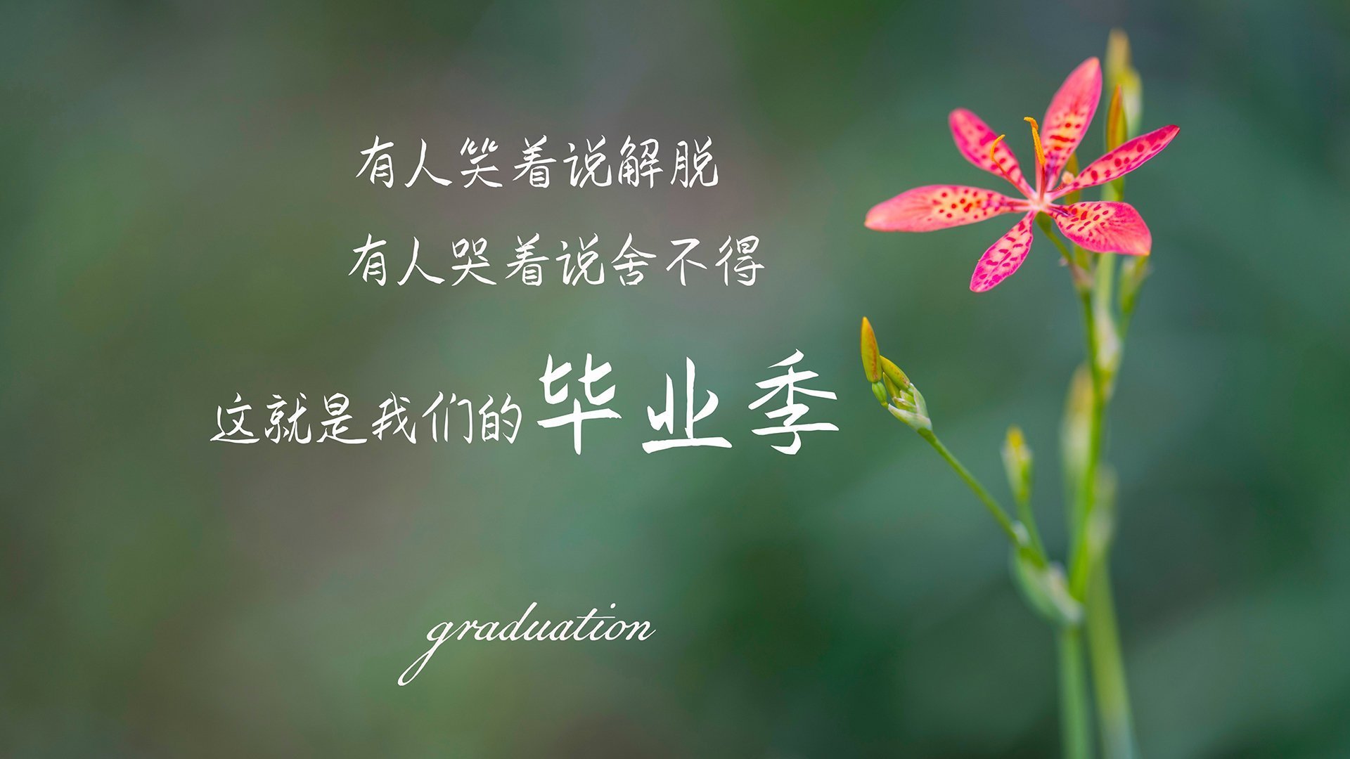 希腊男队蛙泳项目再创佳绩，希腊选手赛后泪奔