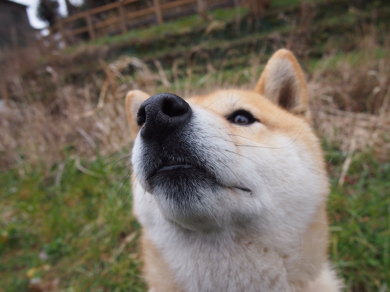 德甲血战到底：攻势凶猛，防守坚韧，德甲积分榜雪缘