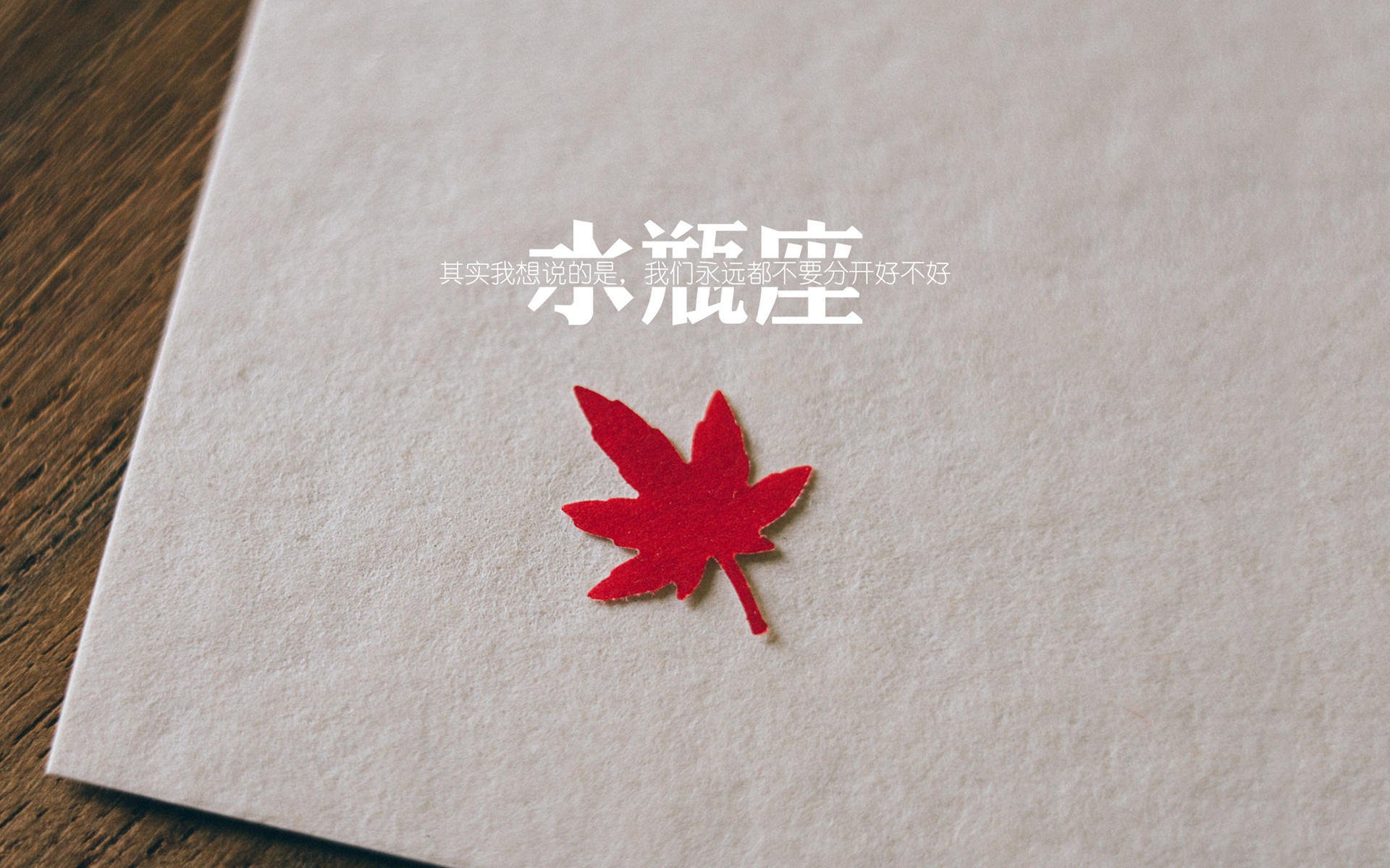 斯洛伐克男篮在欧洲预赛中奋勇争夺，期待创造历史，斯洛伐克欧洲杯预选赛比赛结果