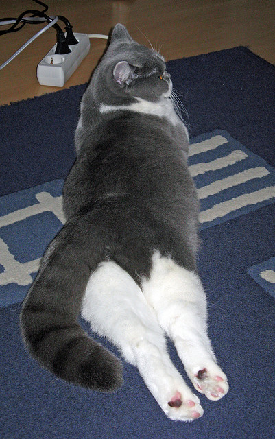 王宗源赛场风采尽显未来之星，王宗源vlog