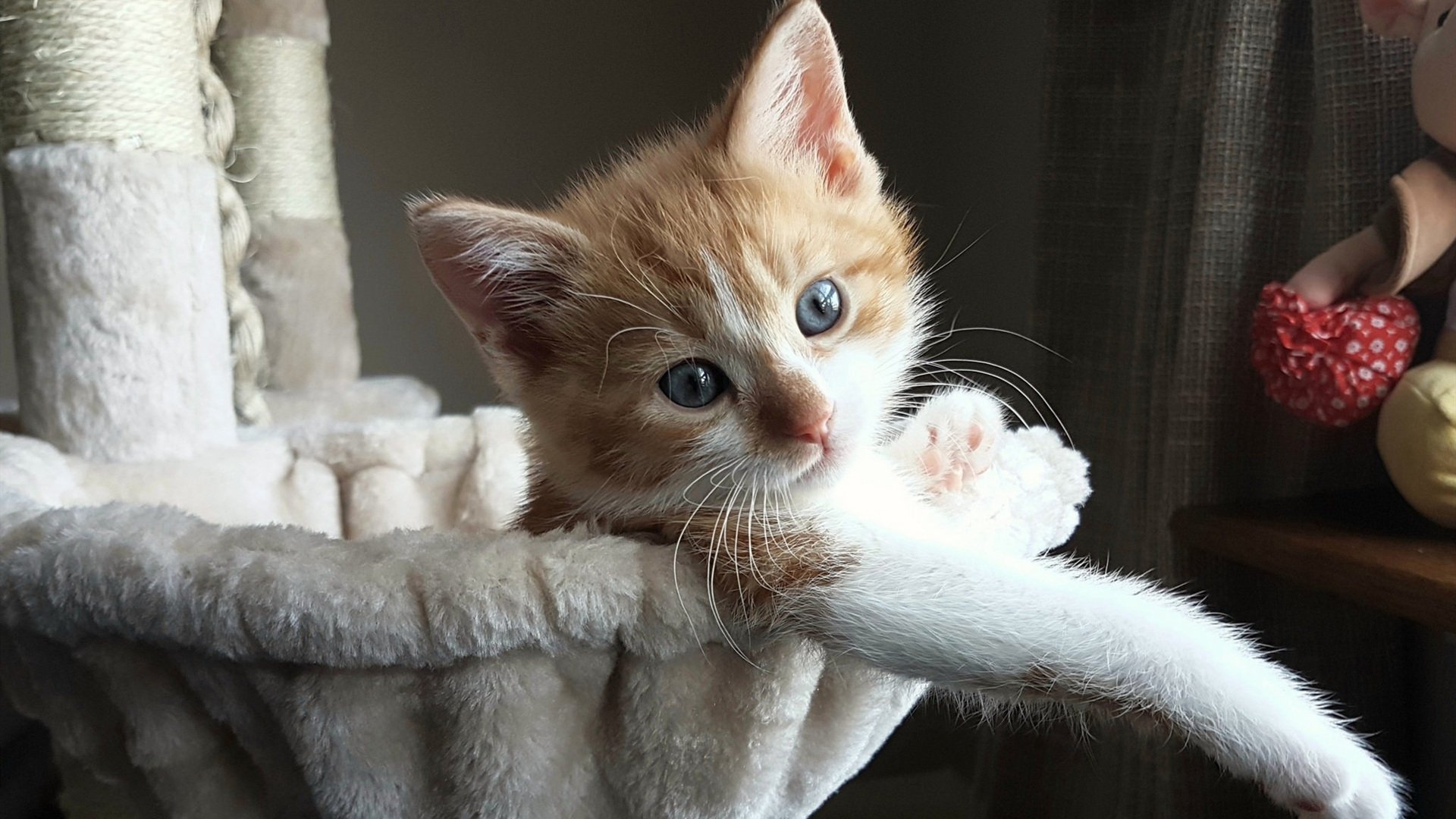 王宗源赛场风采尽显未来之星，王宗源vlog